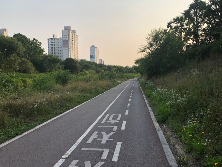  [재독] 이 길을 걸을 수 있다는 행복
