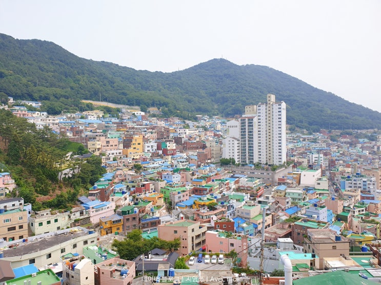  기말고사 끝난 기념으로 떠나는 당일치기 부산여행 