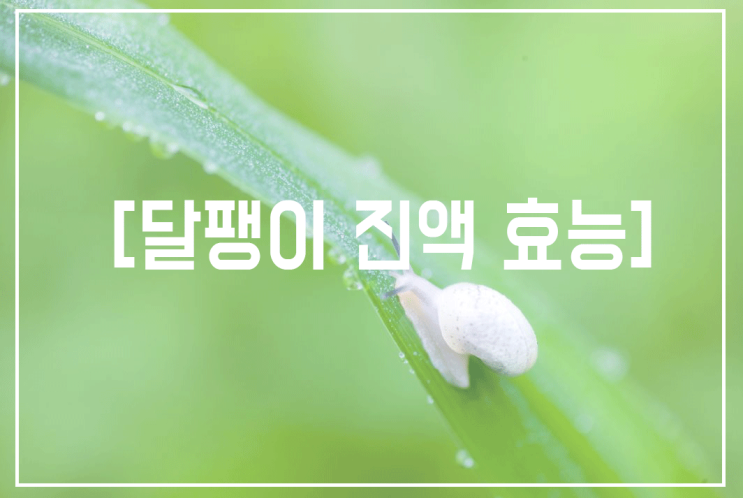  달팽이 진액 효능 피부에만 좋은것이 아니에요