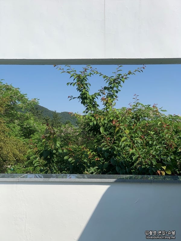 사진 5