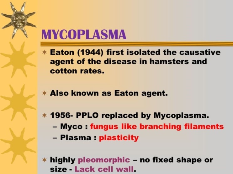 Mycoplasma hominis는 성병입니까? 8