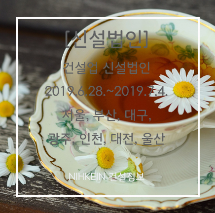  [신설법인] 건설업 신설법인 2019. 6.28.~2019.7.4. 서울, 부산, 대구, 광주, 인천, 대전, 울산