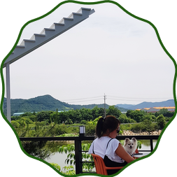  반려견동반/핫한 포토존 곡성천국의계단 <씨엘로>뷰도 정말 예술이다~^^