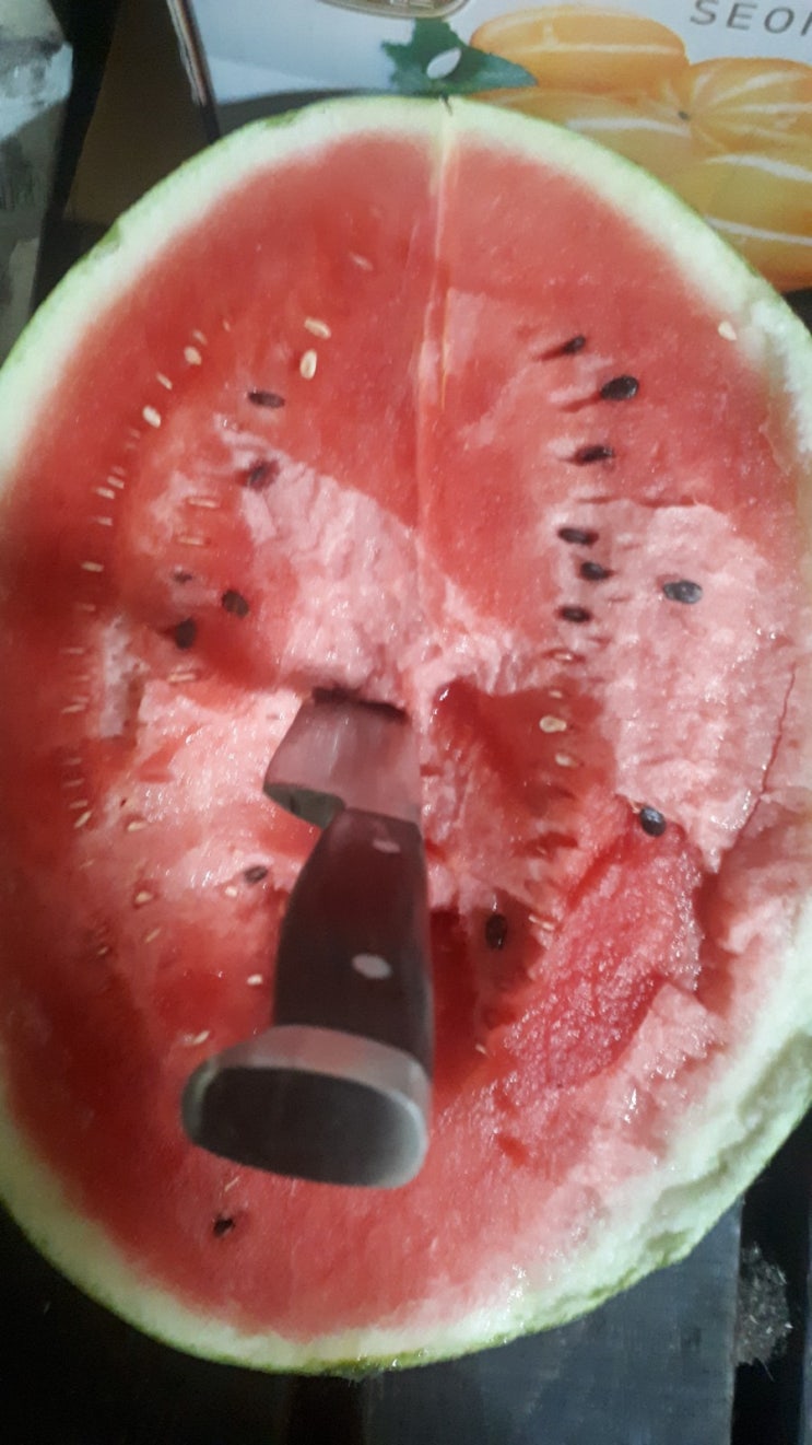  [양산통통과일]오늘 수박 좋아요