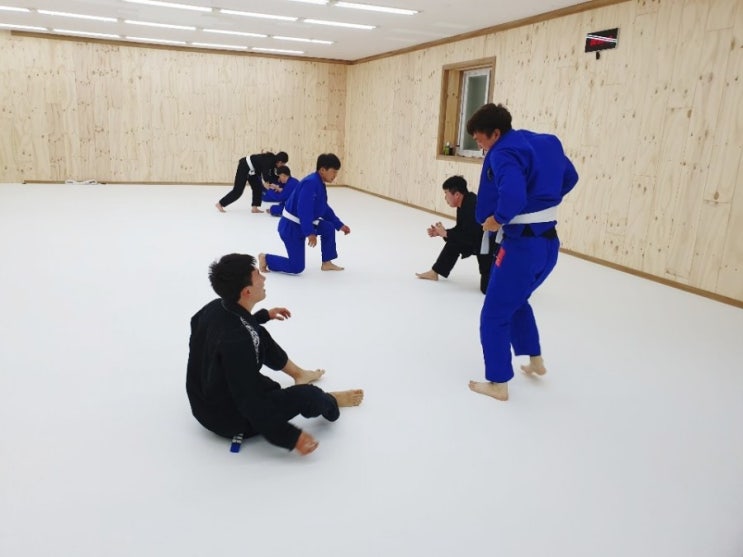  (속초존프랭클주짓수)아카데미