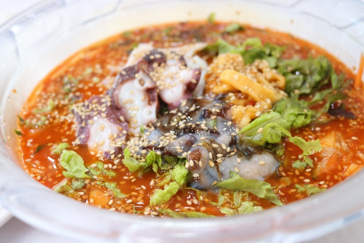  강원도 고성 맛집 문어물회 시원해