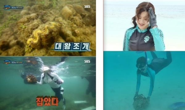 "이열음은 틀렸고 연우는 맞았다"…같은 대왕조개, 다른 결과 "이열음은 틀렸고 연우는 맞았다"…같은 대왕조개, 다른 결과