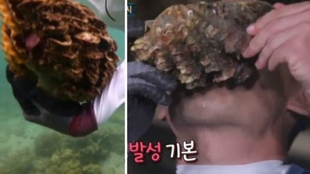  태국 국립공원, SBS 정글의 법칙 ‘멸종위기종 취식’ 혐의 수사 요청