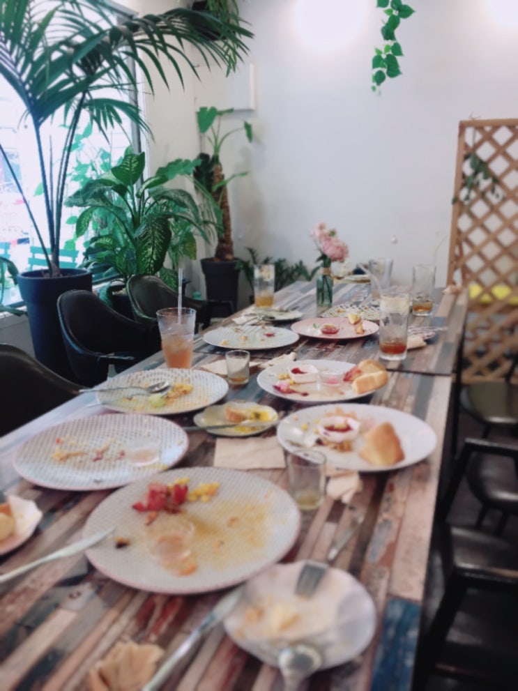  블루밍데이 브런치카페/ 식물 많은 싱그러운 분위기의 커피맛집/ 브런치식사 예약