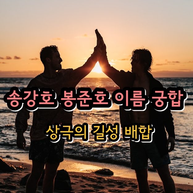 송강호 봉준호 다지음 이름 궁합 - 영화 나랏말싸미 기생충 살인의추억 나무위키 송강호 봉준호 다지음 이름 궁합 - 영화 나랏말싸미 기생충 살인의추억 나무위키