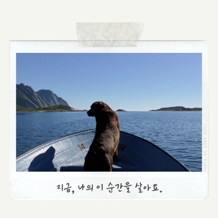  죽전 수학학원용인수학학원수지수학학원분당수학학원-[금정에듀] 지금 여러분의 시간은 어디를 향해 있나요?