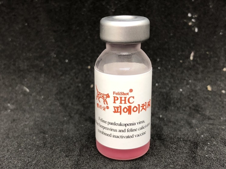  [홈플러스 잠실점 잠실미소약국] 펠리샷PHC,고양이3종백신,자가접종,고양이필수접종백신,새끼고양이반드시접종,범백혈구감소증바이러스,고양이비기관지염바이러스,고양이칼리시바이러스
