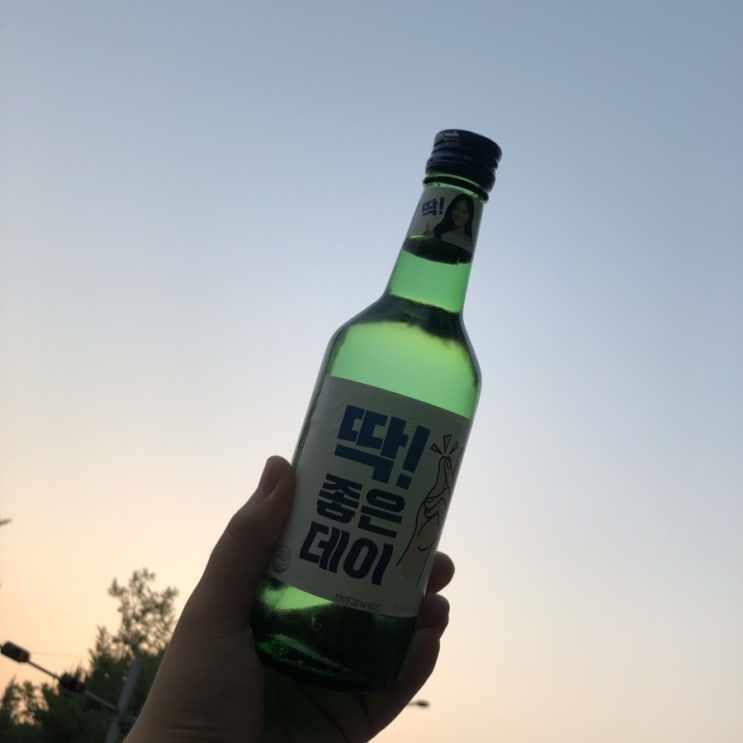  이 달의 일기 : 201906 (100번째 포스팅️)