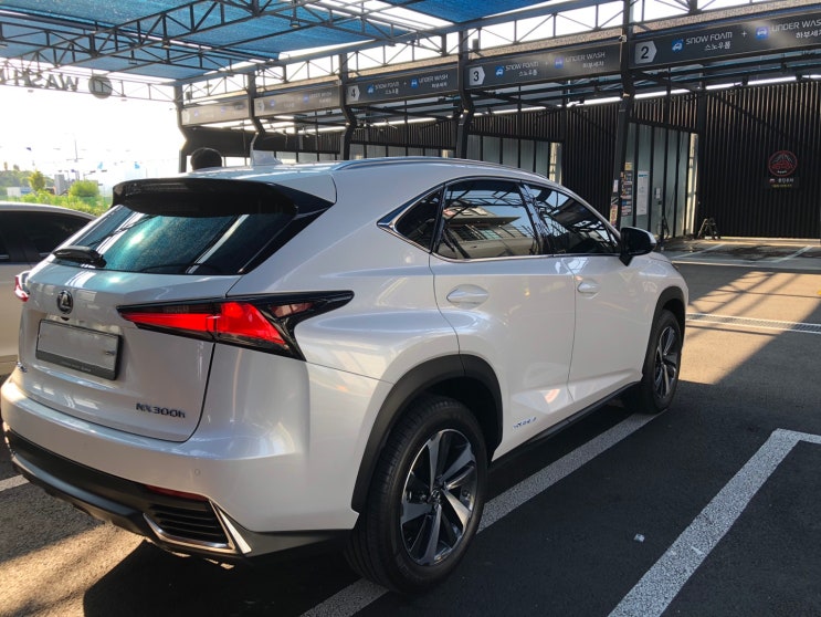 2019 렉서스 nx 하이브리드 실내 사진, 간단 시승기