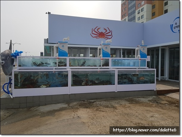  강원도속초횟집 속초 삼해 횟집에서 여행 제대로 즐기기