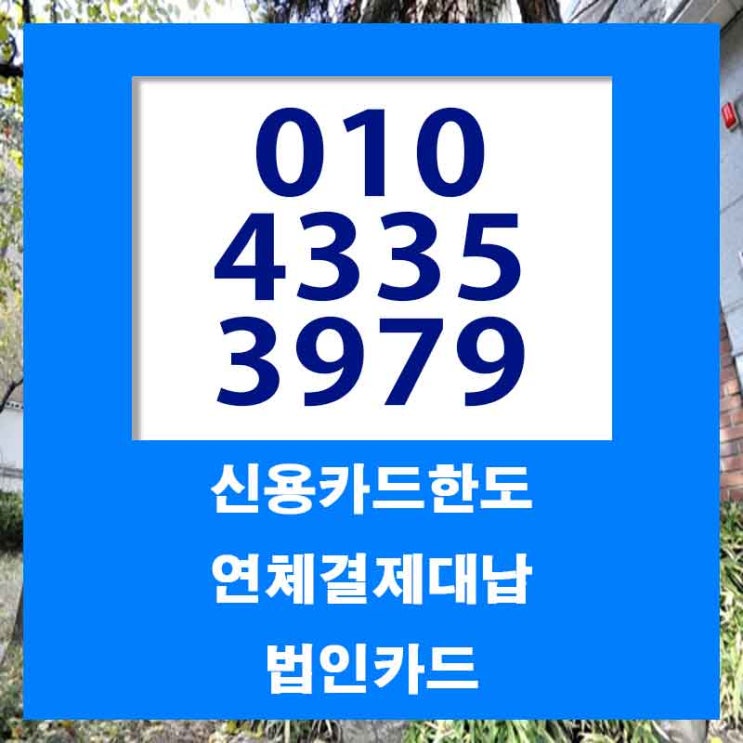  함안 부산 카드값연체 신중하게 알아보자!