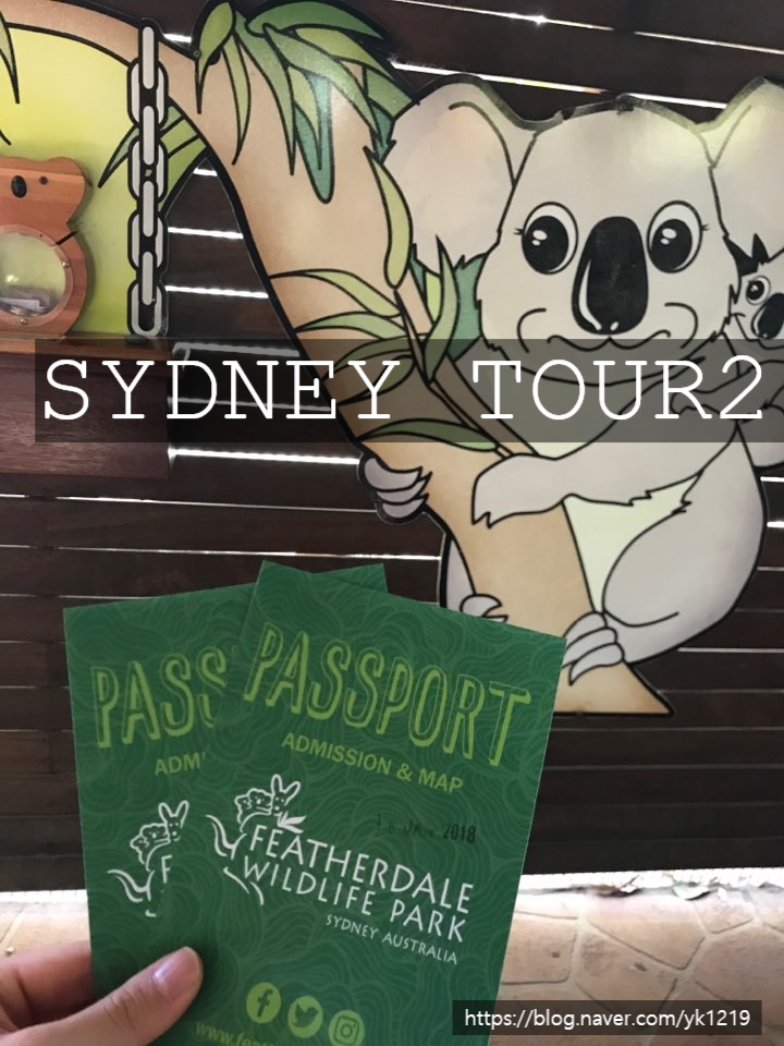 호주 시드니 여행 2탄 페더데일 동물원에서 캥거루랑 코알라 본날