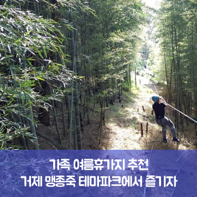  가족 여름휴가지 추천 : 여름휴가, 거제 맹종죽 테마파크에서 즐기자