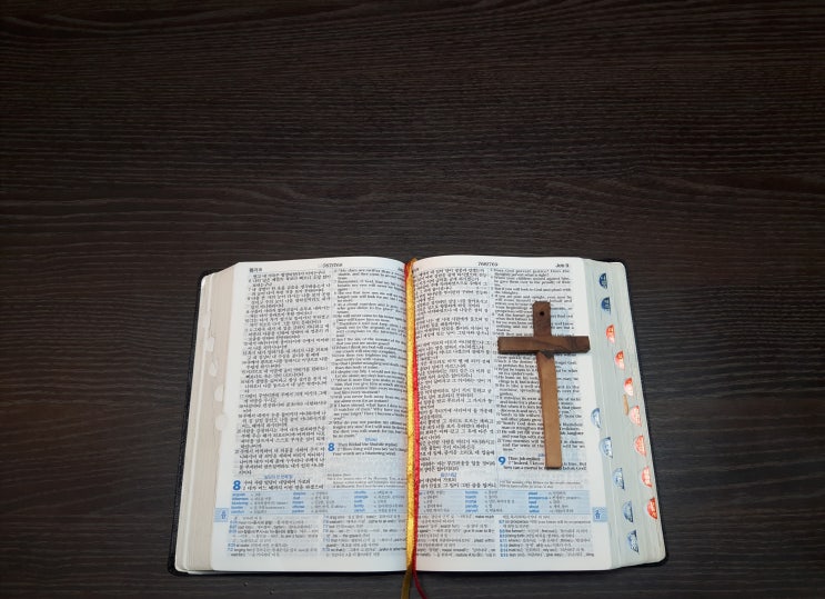  전 도 서  4: 12