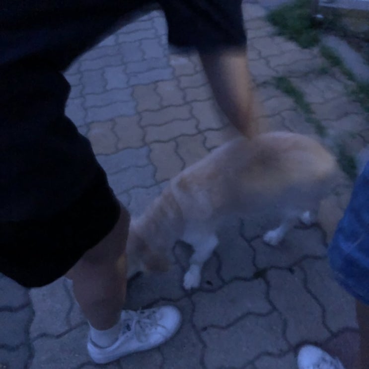  190705