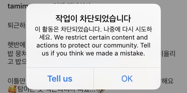  인스타그램 오류 ‘작업이 차단되었습니다’