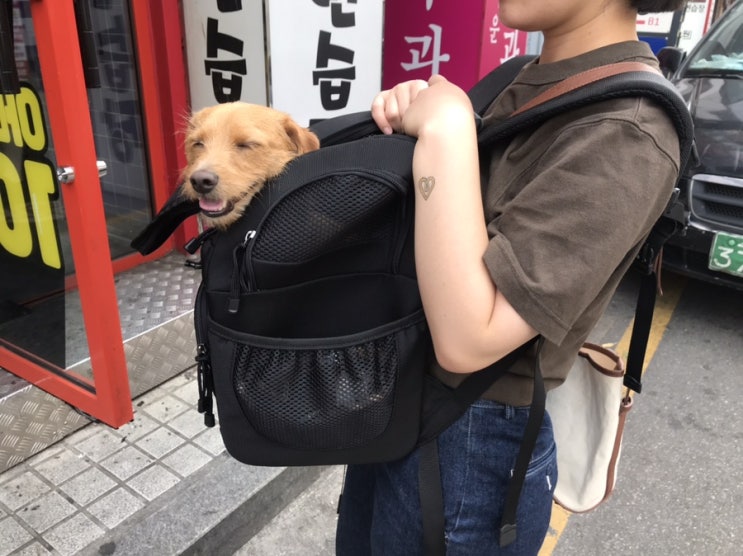  ɴᴀᴊᴜ