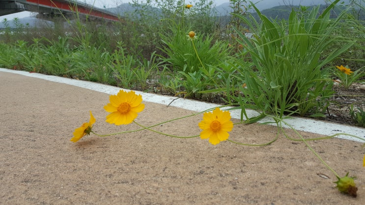  새로운 평화의 시대에 경제 보복이 왠말인가.
