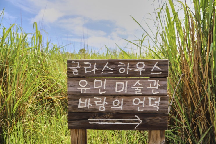  섭지코지 바람의 언덕에서