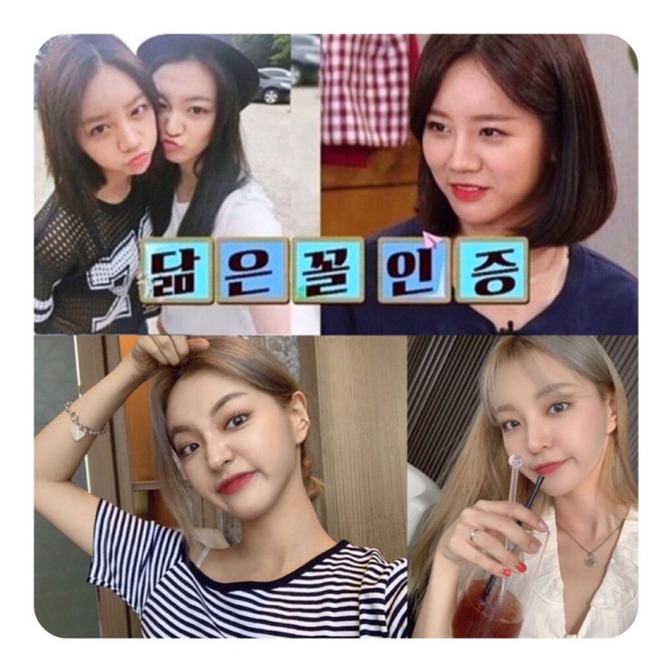  혜리 동생 아마레또 이혜림 사진, 인스타 주소