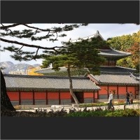  U 모아보기 [차] 창덕궁