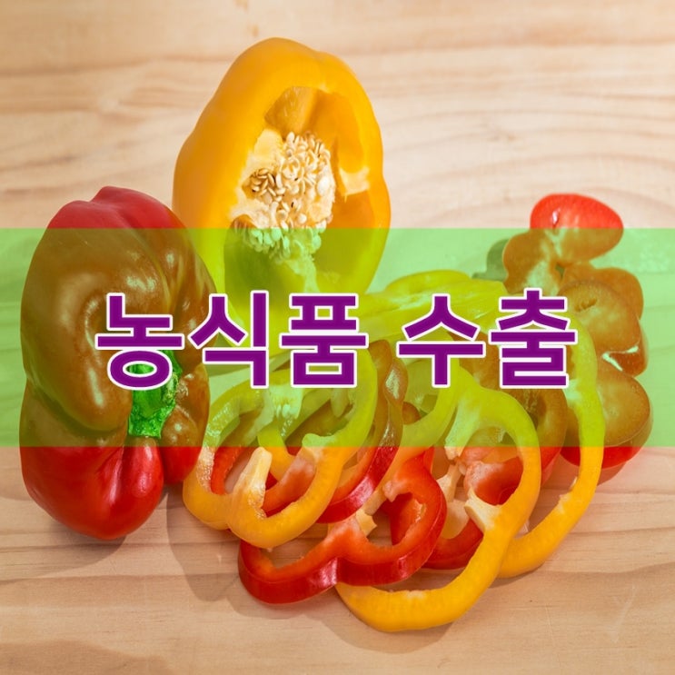  농식품부 대(對)일 농식품 수출 점검회의/ 일본 농식품 수출 실적점검: 파프리카, 김치, 인삼, 토마토, 백합(화훼류) 등..