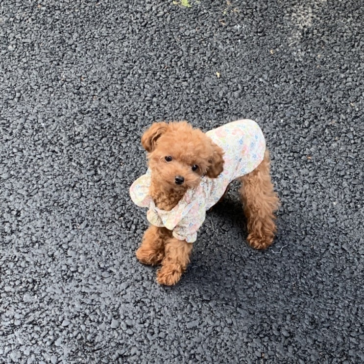  20190708