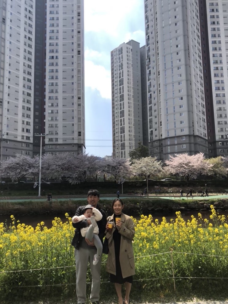  2019.3.30 +816일. 삼촌이 부산에 왔어요, 2019.3.31 +817일. 삼촌도 함께 온천천 벚꽃구경. /  엄마의 사랑이 가득 / 주말 저녁마다 소고기 소고기삼겹살