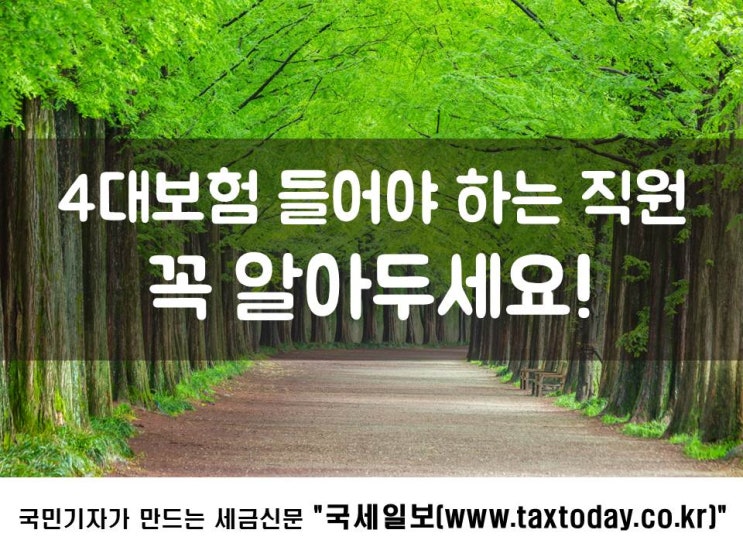  4대보험 들어야 하는 직원, 꼭 알아두세요!