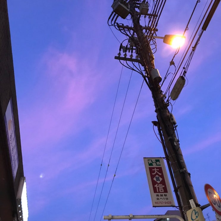  여름으로부터