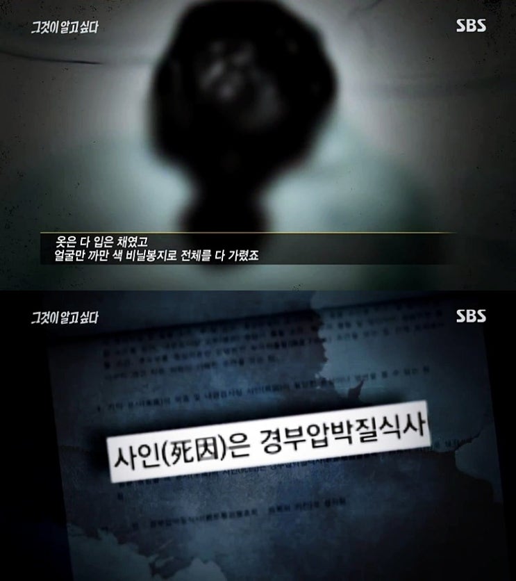 그것이알고싶다 - 엽기토끼 사건 제보 올라옴 그것이알고싶다 - 엽기토끼 사건 제보 올라옴