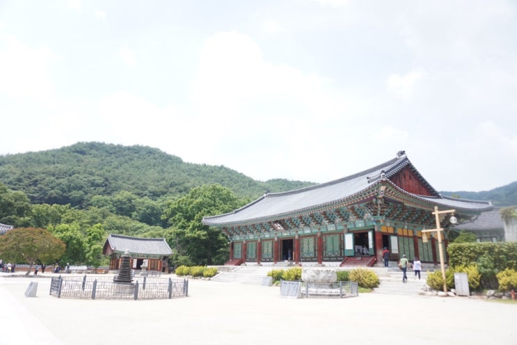  Enony’s 전주, 금산사와 백학정