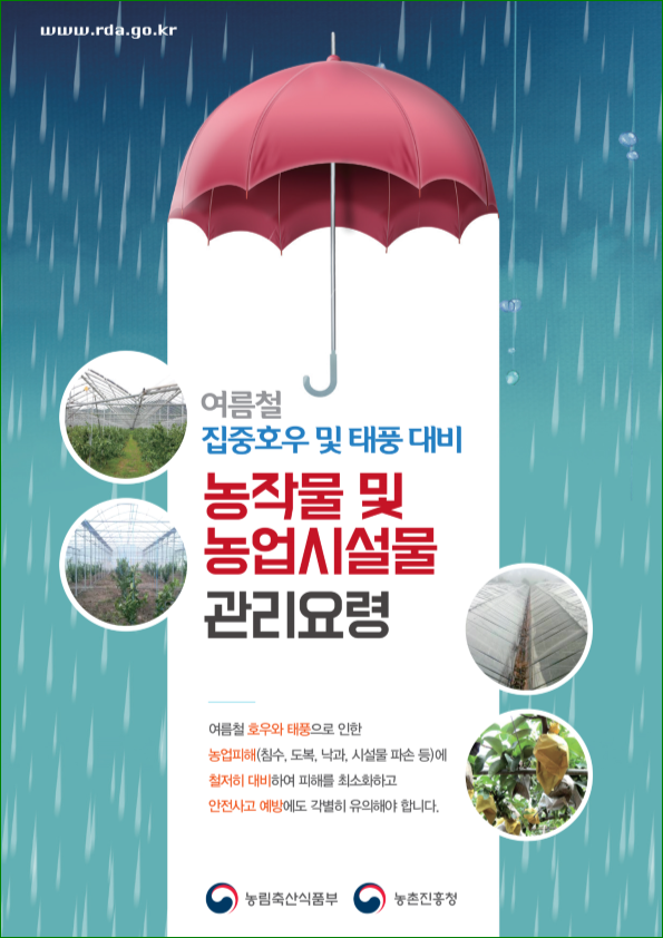  여름철 집중호우 농작물 관리요령