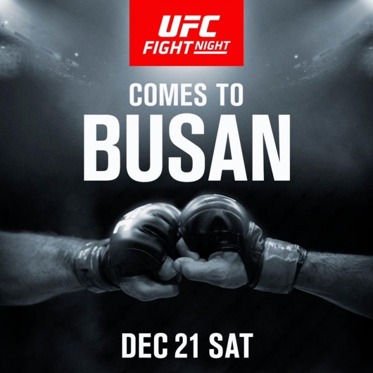 UFC 12월 21일 부산 대회 확정