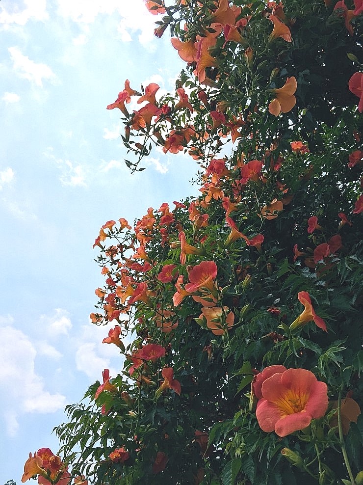  [단, 하나의 사랑]; 결말이 궁금한 이유 