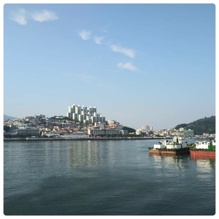  여수 여행 돌산 하이락리조트 문어낚시