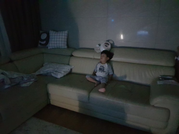  주말드라마 뚫음, 카봇삼매경 라준이, 유튜브느님, 공동밤수, 할미할비 빠... 주말 잘 마무리중!
