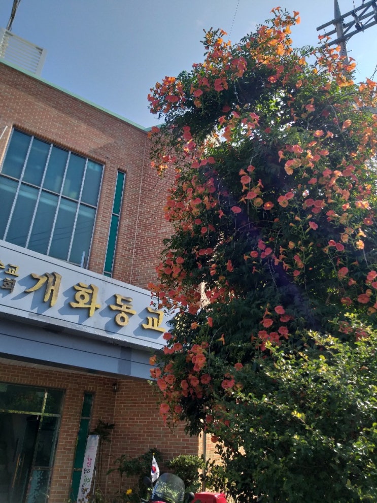 27)2019년7월7일,맥추감사주일