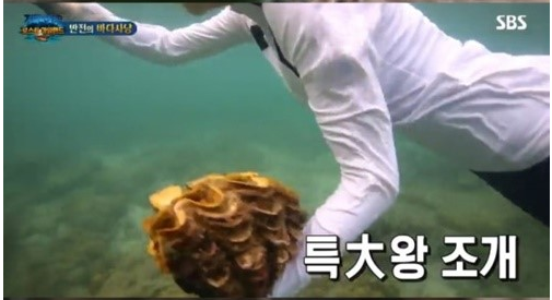  씨방새  정글 예능 상황