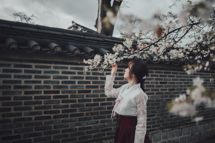  봄날의 창경궁 한복스냅 촬영(더고은생활한복)