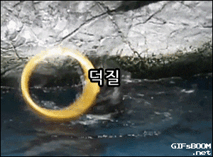  [장군 #6] 마이 패이보릿 '슬기'로 말할 것 같으면