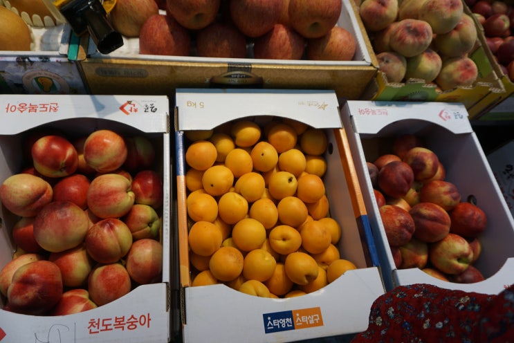  가락몰 장보기! 다농마트! 케이원마트! 지하 1층 야채 과일상가!
