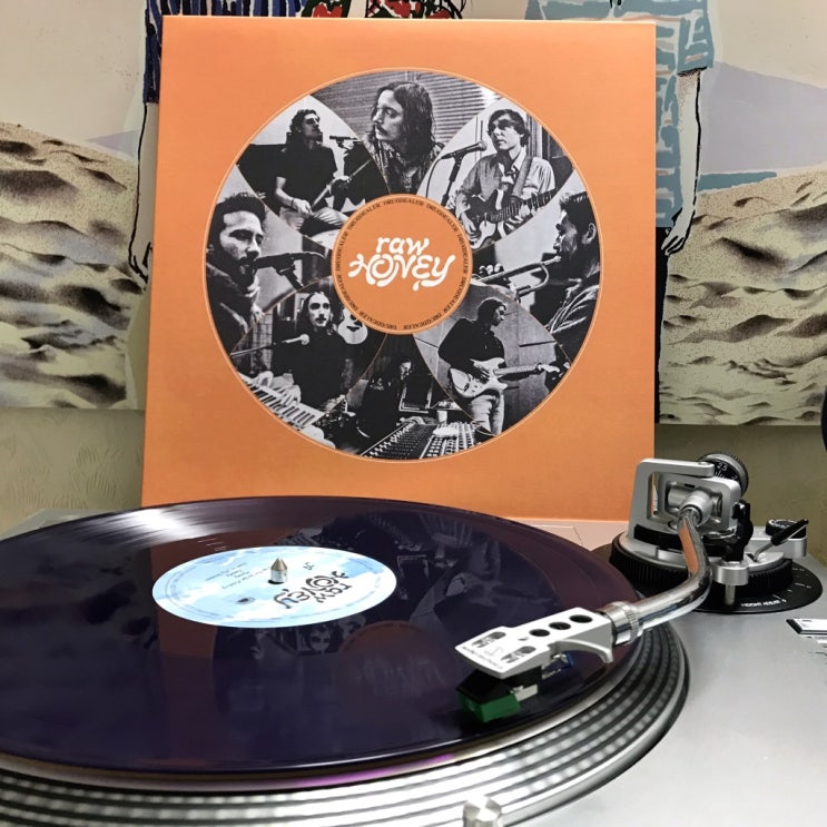  [LP, 엘피] Drugdealer - Raw Honey (Vinyl Me, Please Purple Translucent 바이닐, 300장 한정)
