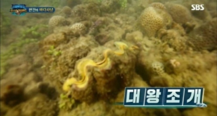  배우 이열음과 태국 대왕조개