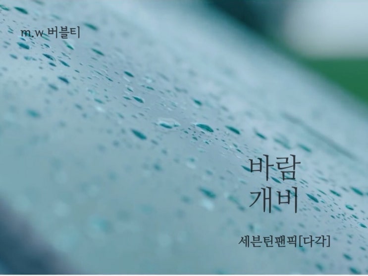  [세븐틴팬픽/다각]바람개비 07.임기응변과 순발력